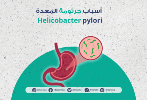 جرثومة المعدة