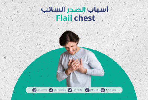 الصدر السائب