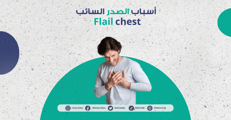 الصدر السائب