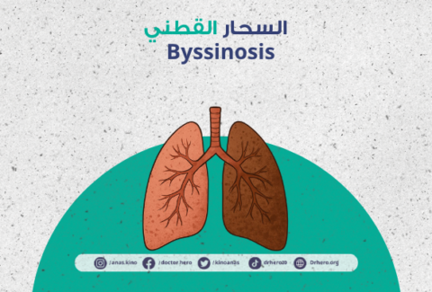 السحار القطني