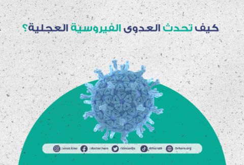 الفيروسية العجلية