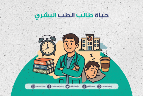 حياة طالب الطب البشري