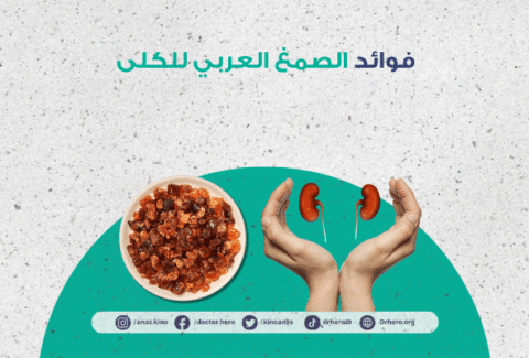 فوائد الصمغ العربي للكلى