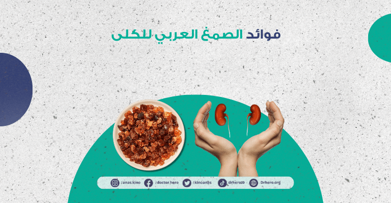 فوائد الصمغ العربي للكلى
