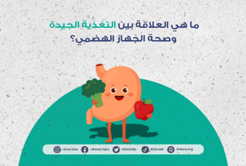 العلاقة بين التغذية وصحة الجهاز الهضمي