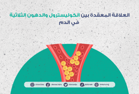 العلاقة بين الكوليسترول والدهون الثلاثية