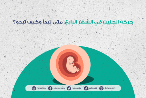 حركة الجنين في الشهر الرابع