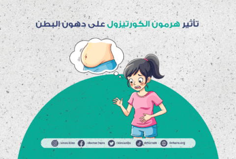 تأثير هرمون الكورتيزول على دهون البطن