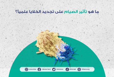 تأثير الصيام على تجديد الخلايا