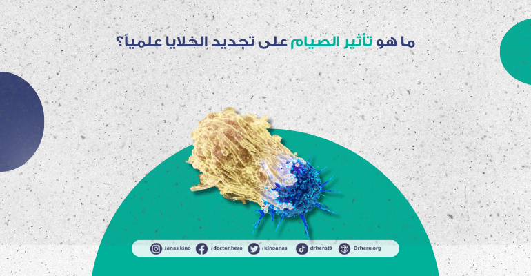 تأثير الصيام على تجديد الخلايا