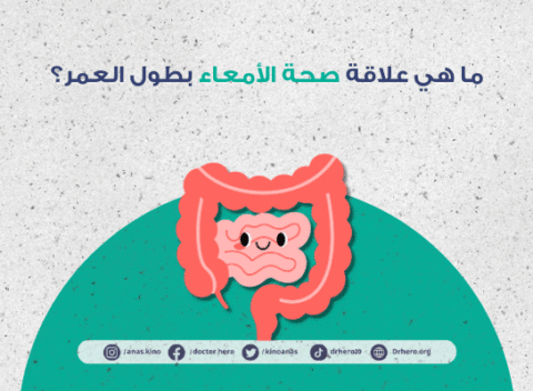 علاقة صحة الأمعاء بطول العمر