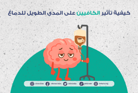 تأثير الكافيين على المدى الطويل للدماغ