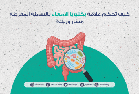 علاقة بكتيريا الأمعاء بالسمنة المفرطة