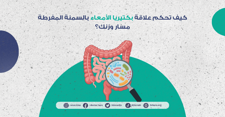 علاقة بكتيريا الأمعاء بالسمنة المفرطة