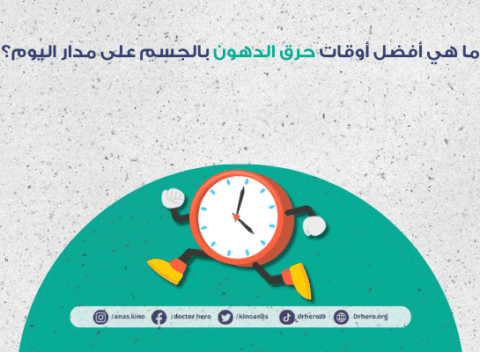 علاقة توقيت الأكل بمعدل الحرق اليومي