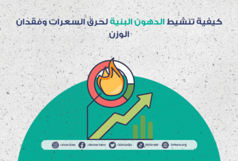 تنشيط الدهون البنية لحرق السعرات