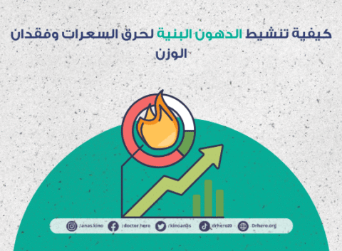 تنشيط الدهون البنية لحرق السعرات