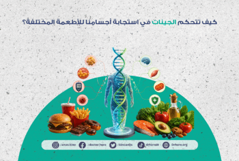 تأثير الجينات على استجابة الجسم للغذاء