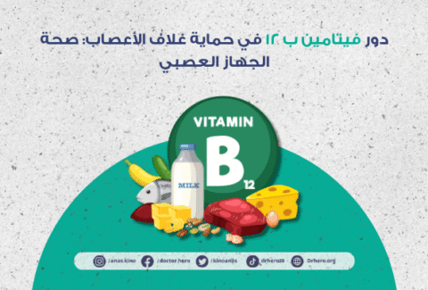 دور فيتامين ب 12 في حماية غلاف الأعصاب