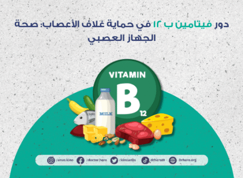 دور فيتامين ب 12 في حماية غلاف الأعصاب