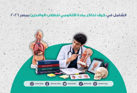 كيف تذاكر مادة الأناتومي
