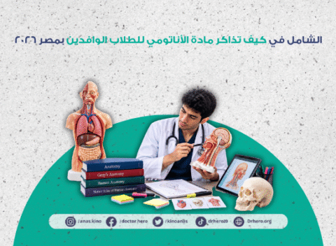 كيف تذاكر مادة الأناتومي