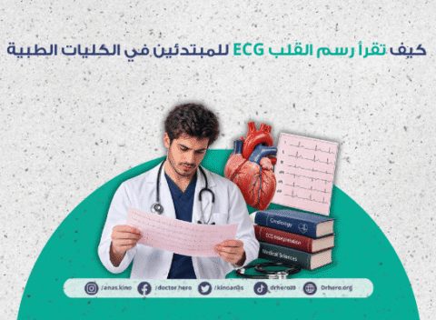 كيف تقرأ رسم القلب ECG