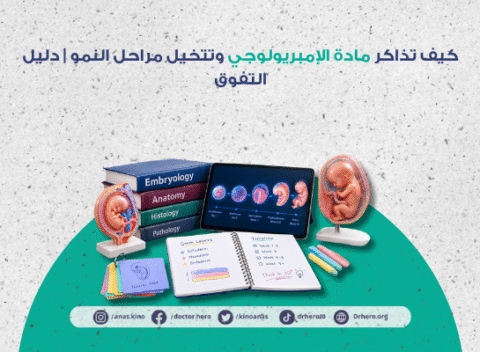 كيف تذاكر مادة الإمبريولوجي